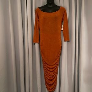 Beautiful Shimmering Burnt Orange Bodycon Dress